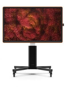 CTOUCH CANVAS TOUCH SCREENS SAUDI ARABIA